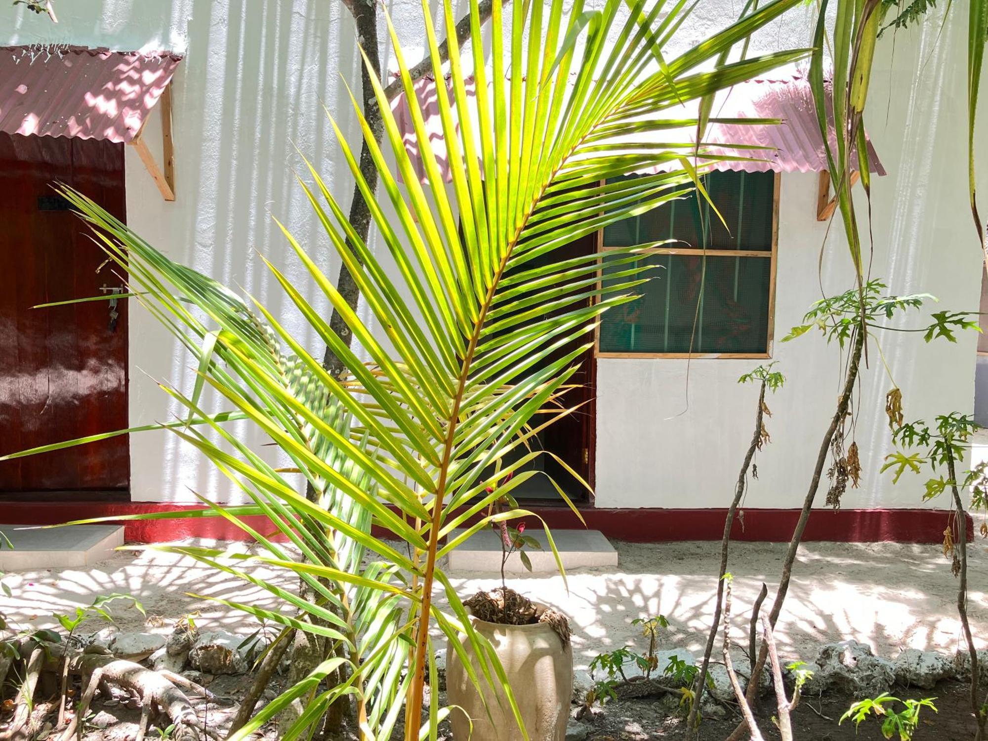 Mount Zion Lodge Michamvi Kae Phòng bức ảnh